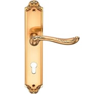 Дверная ручка на длинной накладке GENESIS ACANTO S. GOLD CL 940000000421