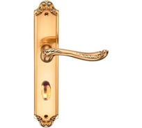 Дверная ручка на длинной накладке GENESIS ACANTO S. GOLD OL 940000000420