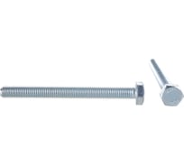 Болт с ШГ ЕВРОПАРТНЕР DIN933 с полн. рез. Zn 12 х 120 2 шт. 2 0106 2