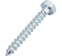 Шуруп с ШГ сантех. ЕВРОПАРТНЕР DIN 571 Zn 10 х 70 2 шт. 5 0960 1