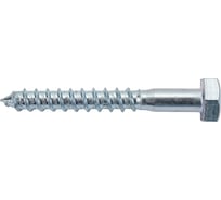 Сантехнический шуруп с ШГ ЕВРОПАРТНЕР DIN 571 Zn 10х80 2шт. 5 0961 1