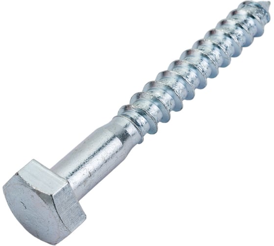 Сантехнический шуруп с ШГ ЕВРОПАРТНЕР DIN 571 Zn 10х80 2шт. 5 0961 1