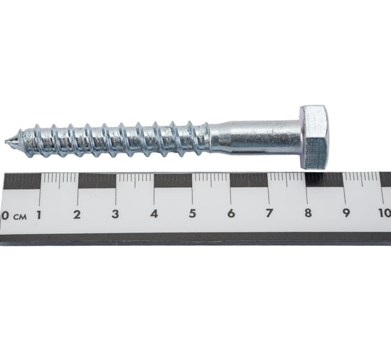 Сантехнический шуруп с ШГ ЕВРОПАРТНЕР DIN 571 Zn 10х80 2шт. 5 0961 1