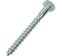 Шуруп с ШГ сантех. ЕВРОПАРТНЕР DIN 571 Zn 10 х 90 2 шт. 5 0962 1