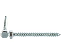 Сантехнический шуруп с ШГ ЕВРОПАРТНЕР DIN 571 Zn 6х60 12шт. 5 0941 4