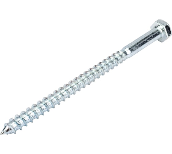 Сантехнический шуруп с ШГ ЕВРОПАРТНЕР DIN 571 Zn 8х120 10шт. 5 0953 3