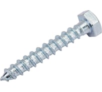 Сантехнический шуруп с ШГ ЕВРОПАРТНЕР DIN 571 Zn 8х50 10шт. 5 0947 4