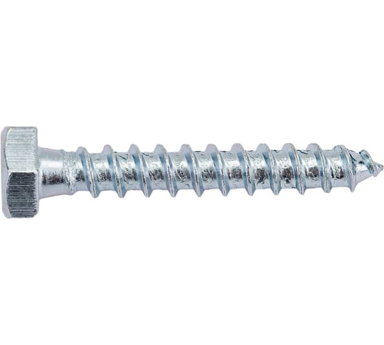 Сантехнический шуруп с ШГ ЕВРОПАРТНЕР DIN 571 Zn 8х50 10шт. 5 0947 4