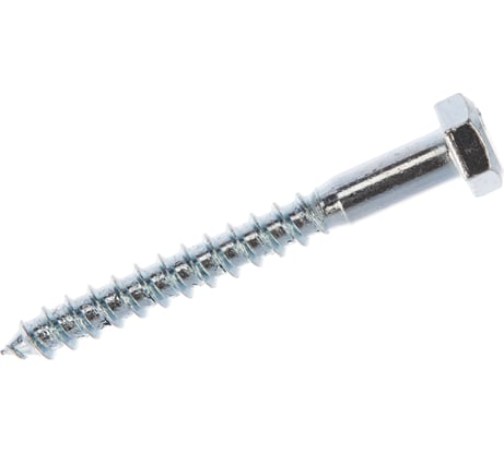 Сантехнический шуруп с ШГ ЕВРОПАРТНЕР DIN 571 Zn 8х70 2шт. 5 0949 1