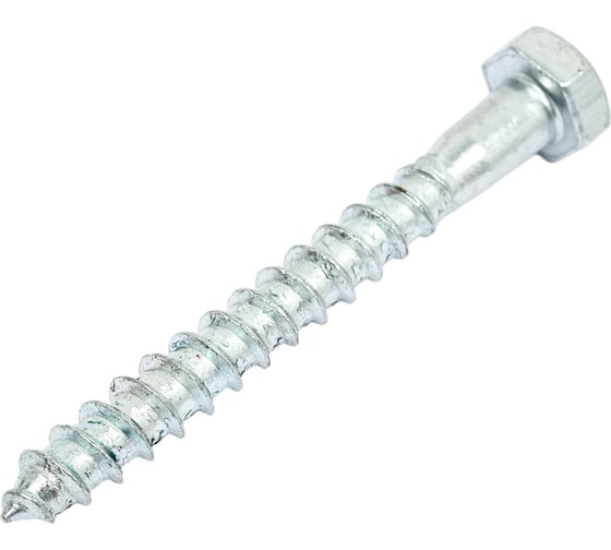 Сантехнический шуруп с ШГ ЕВРОПАРТНЕР DIN 571 Zn 8х70 2шт. 5 0949 1