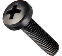 Винт ЦКИ DIN 7985 м4x8, черный матовый ral9005, цинк, ph 2, 200 шт. 50880