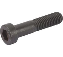 Винт ЦКИ DIN 7984 м4x12, 10.9, оксид, hex 2.5, 50 шт. 82021