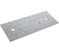 Пластина ALBERTS перфорированная, оцинкованная, 200х80х2 мм 331993 16384761