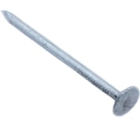 Толевые гвозди Стройбат евро, 2.8x50 мм, белый цинк, 0.2 кг 004641