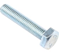 Болт Стройбат DIN 933 М10x60 белый цинк 2 шт 047731