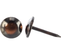 Мебельный гвоздь ЕВРОПАРТНЕР патинированный 40 шт. 13 7365 1