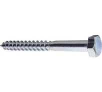 Шуруп STARFIX 6x40 мм, шестигр. головка, цинк, DIN 571, 1 шт. SMP-59711-1