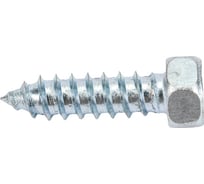 Шуруп самонарез. с ШГ ЕВРОПАРТНЕР DIN 7976 Zn 5,5 х 19 20 шт. 15 1071 1