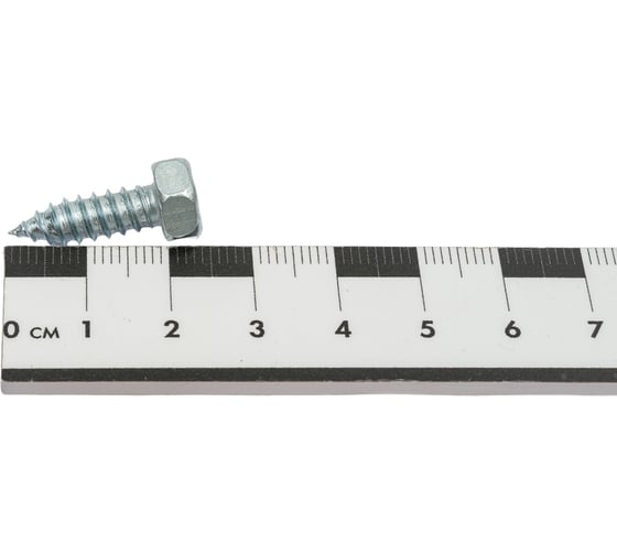 Самонарезающий шуруп с ШГ ЕВРОПАРТНЕР DIN 7976 Zn 6,3х19 10шт 15 1072 1