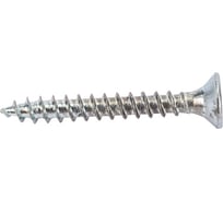 Универсальный шуруп с потайной головкой ЕВРОПАРТНЕР Zn 2,5х20 70шт. 14 1273 1