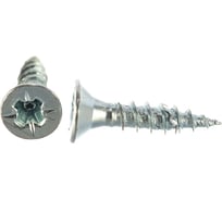 Универсальный шуруп с потайной головкой ЕВРОПАРТНЕР Zn 2,5х12 60шт. 14 1271 1