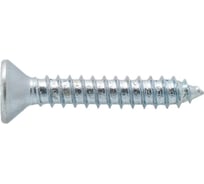 Шуруп универс. с пот. гол. ЕВРОПАРТНЕР Zn 6 х 60 14 шт. 14 1161 7
