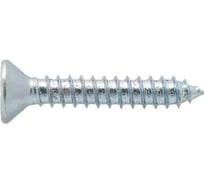 Шуруп универс. с пот. гол. ЕВРОПАРТНЕР Zn 6 х 40 20 шт. 14 1159 7