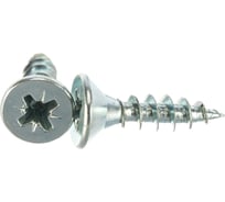 Шуруп универс. с пот. гол. ЕВРОПАРТНЕР Zn 5 х 20 50 шт. 14 1283 1