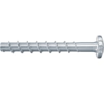 Шуруп по бетону Fischer FBS II 6x60/5 P 100 шт. 546380