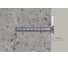 Шуруп по бетону Fischer FBS II 6x60/5 SK 100 шт. 546384 5