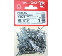 Cтроительные гвозди Стройбат 2,0x25 белый цинк 0,1 кг 063911