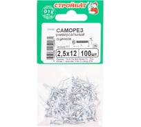 Универсальные саморезы Стройбат 2,5x12 белый цинк 100 шт 305800