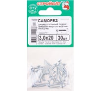 Универсальные саморезы Стройбат 3,0x20 белый цинк 30 шт 013881