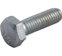 Болт Доброга 10x25, цинк, полная резьба, к.п. 8.8, ГОСТ 7798/7805, 25 кг ЦБ-0039621