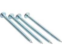 Универсальные саморезы пкр. Стройбат 5,0x70 белый цинк 4 шт 059971