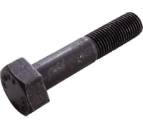 Болт Доброга 20x100, класс прочности 10.9, ГОСТ Р 52644-06, 60 кг ЦБ-00032575