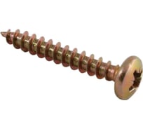 Шуруп Доброга универсальный, полукруглый, 4,5x50, желтый цинк, 500 шт. ТД-00010840