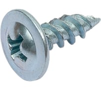 Саморез с пресс-шайбой Доброга 4,2x19 цинк 1 кг ЦБ-00028498