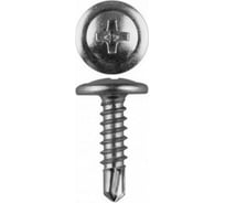 Саморез с пресс-шайбой Доброга 4,2x38 цинк, сверло, 15 кг ЦБ-00028336