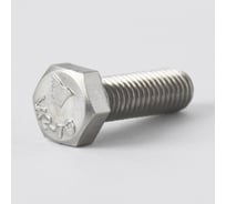 Болт Мир Крепежа DIN 933, М10x60, А2, 10 шт. ЦБ-00097200