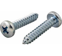 Саморез Квадра DIN 7981, 3.5x25 мм, цинк, кор. 100 шт., полусфера, шлиц PH2, острый 813525020100