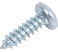 Саморез Квадра DIN 7981, 5.5x19 мм, цинк, кор. 100 шт., полусфера, шлиц PH3, острый 815519020100