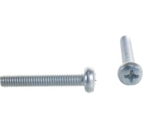 Винт ЦКИ DIN7985 М4х25 Ц 1000 шт. 1387