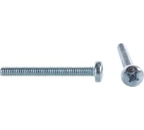 Винт ЦКИ DIN7985 М6х50 Ц 200 шт. 2125