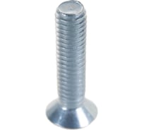 Винт ЦКИ DIN965 М6х25 Ц 500 шт. 2735