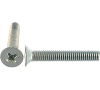 Винт ЦКИ DIN965 М5х30 Ц 1000 шт. 1318