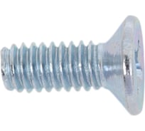 Винт с потайной головкой МЕТАЛЛСЕРВИС M4x10 мм, DIN 965, цинк, 10 шт. МС 1268400