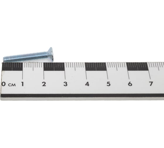 Винт с потайной головкой МЕТАЛЛСЕРВИС M4x25 мм, DIN 965, цинк, 12 шт. МС 1268401