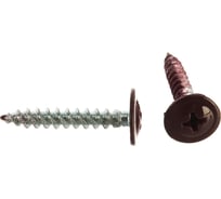 Саморезы с потайной шайбой Госкреп 4.2х25 мм, красные, RAL3005, 20 шт. 1-0017410