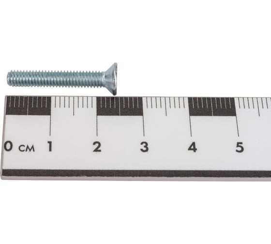 Винт Госкреп DIN965, М4х25, 15 шт. 6-0056690